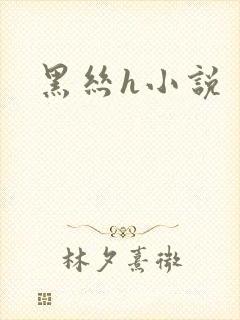 黑丝h小说