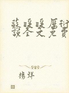 苏暖暖厉衍琛小说全文免费阅读