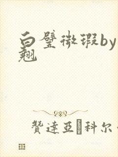 白璧微瑕by连翘