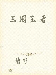 三国王者
