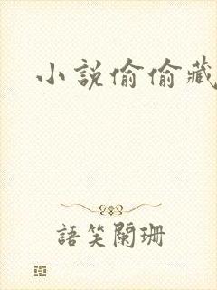 小说偷偷藏不住