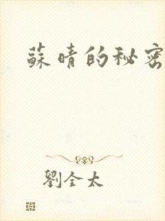 苏晴的秘密小说