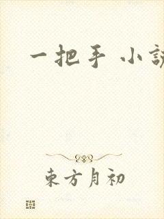 一把手 小说