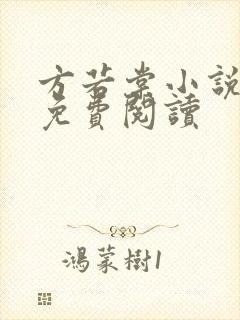 方若棠小说全文免费阅读