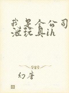 我是全公司的发泄玩具ih