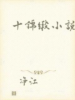 十锦缎小说