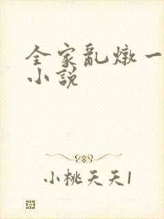 全家乱炖一锅烩小说