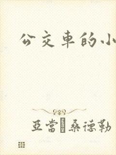 公交车的小说