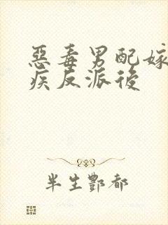 恶毒男配嫁给残疾反派后