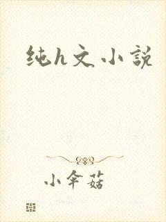 纯h文小说