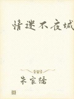 情迷不夜城