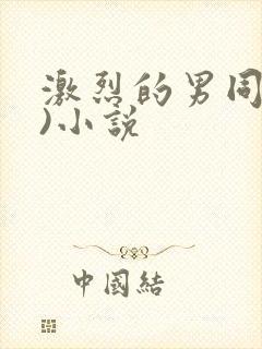 激烈的男同(h)小说