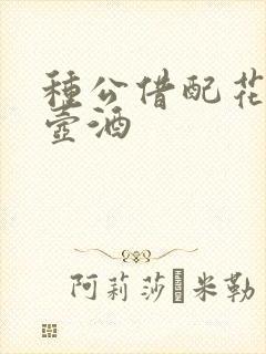 种公借配花间一壶酒