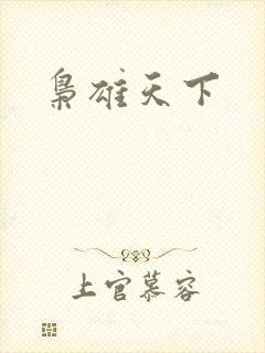 枭雄天下