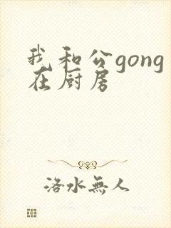 我和公gong在厨房