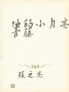 他的小月亮by青藤