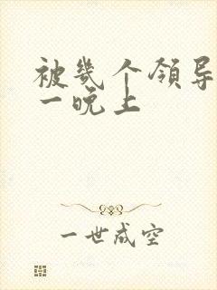 被几个领导玩弄一晚上