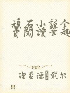 顽石小说全文免费阅读笔趣阁