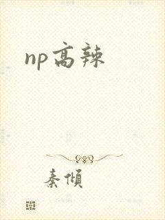 np高辣