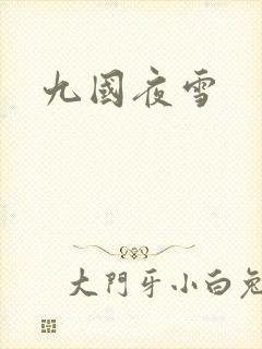 九国夜雪