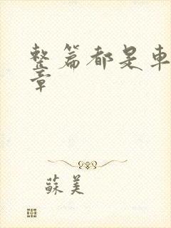 整篇都是车的文章