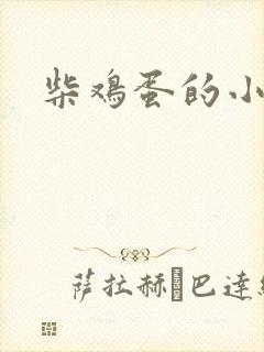 柴鸡蛋的小说