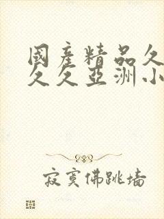 国产精品久久久久久亚洲小说