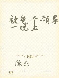 被几个领导玩弄一晚上