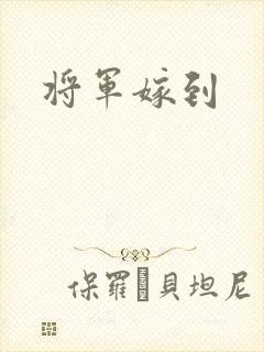 将军嫁到