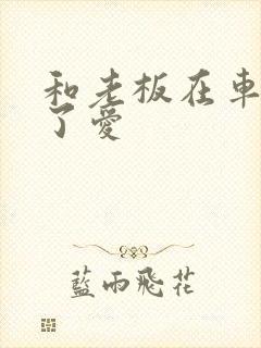 和老板在车里做了爱