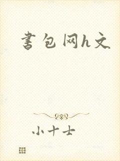 书包网h文