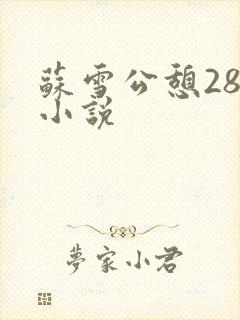 苏雪公憩28篇小说