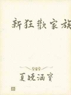 新狂欢家族小说