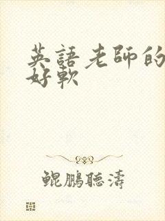 英语老师的兔子好软