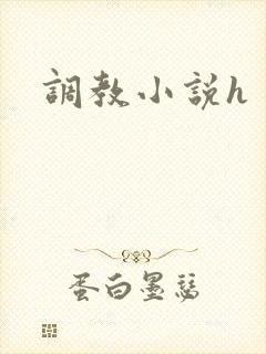 调教小说h