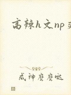 高辣h文np爽