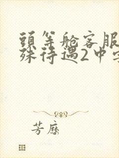 头等舱客服的特殊待遇2中字