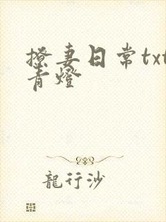 撩妻日常txt青灯