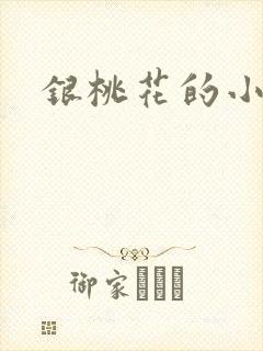 银桃花的小说