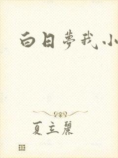 白日梦我小说