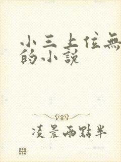 小三上位无三观的小说