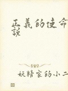 正义的使命 小说