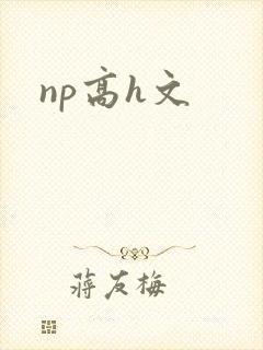 np高h文