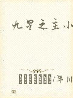 九星之主小说