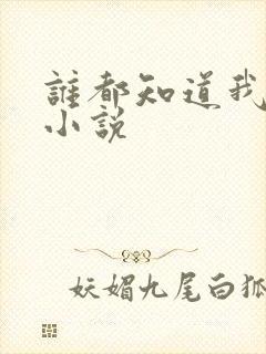 谁都知道我爱你小说