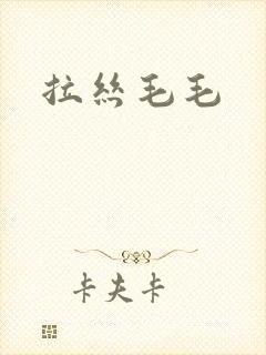 拉丝毛毛