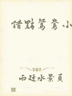 错点鸳鸯小说