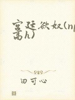 宫廷欲奴(np高h)