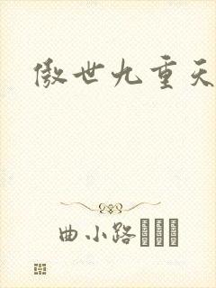 傲世九重天小说