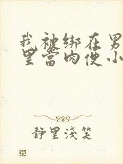 我被绑在男公厕里当肉便小说